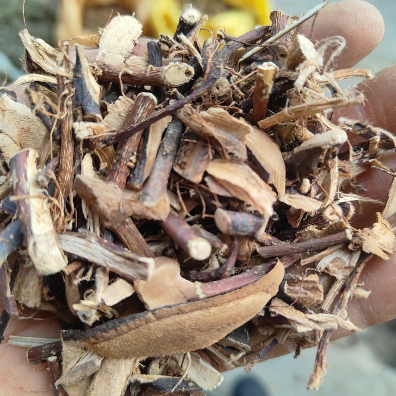 贵州野生地瓜藤根1斤