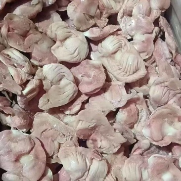 肉鸡胗5吨