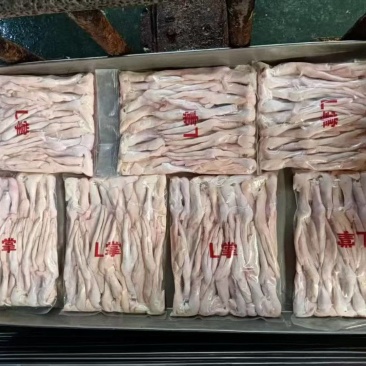 大鸭掌