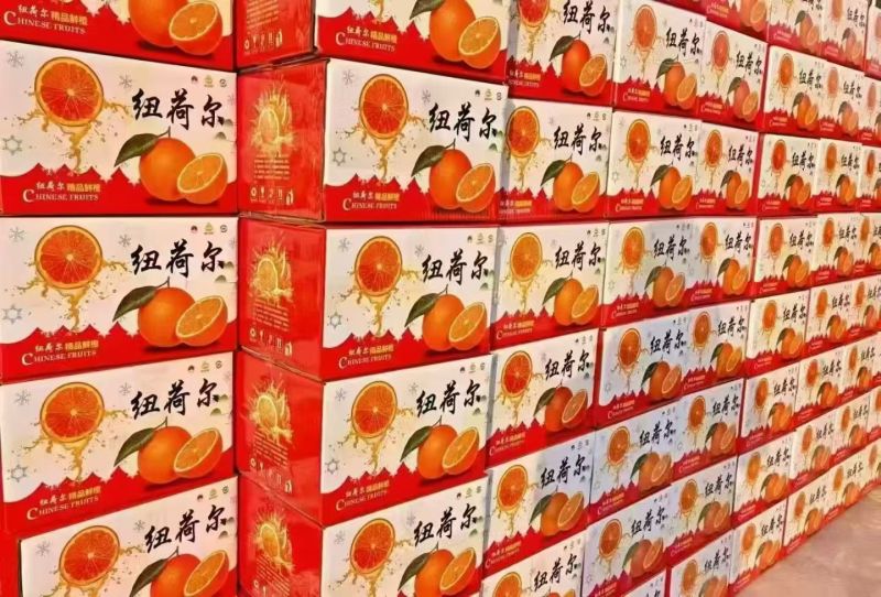 纽荷尔脐橙净重9斤坏果包赔