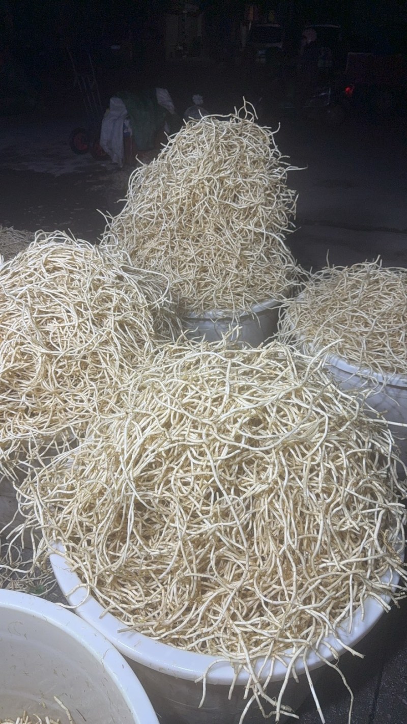 鱼腥草，折耳根