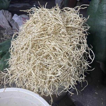 鱼腥草，折耳根