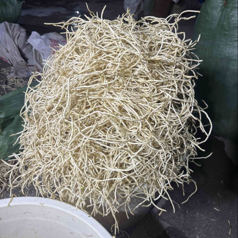 鱼腥草，折耳根