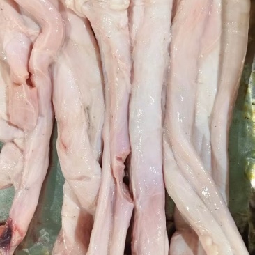 牛精索