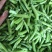 精品豌豆青豌豆市场货电商货工厂货一手货源产
