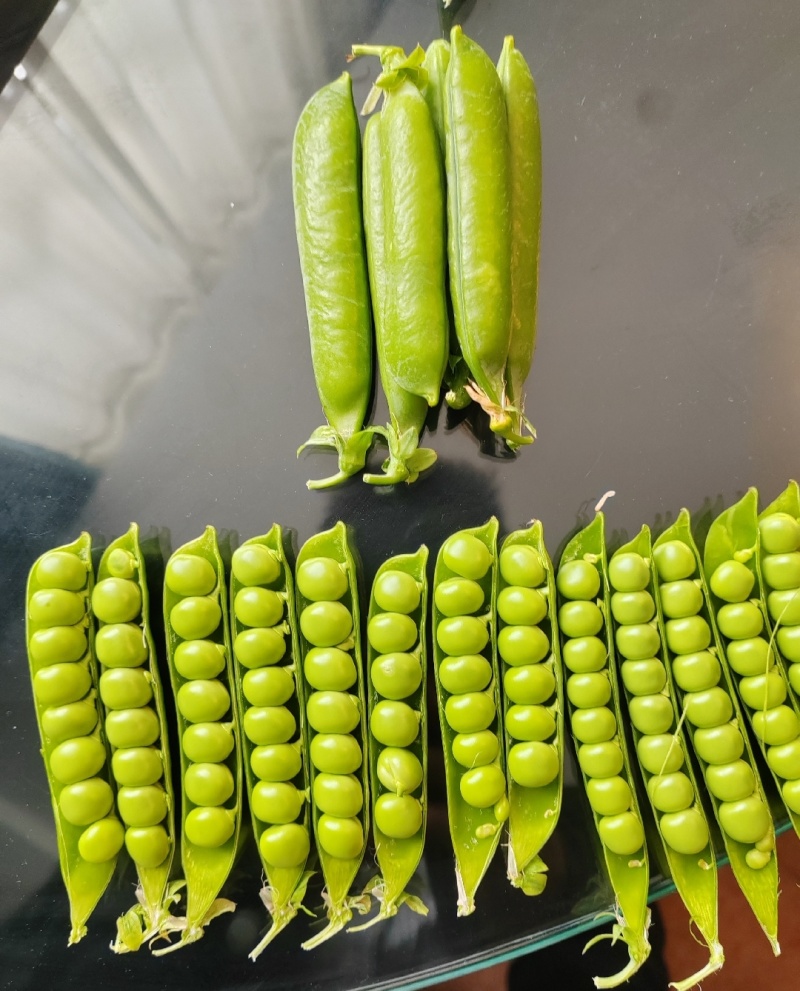 精品豌豆青豌豆市场货电商货工厂货一手货源产