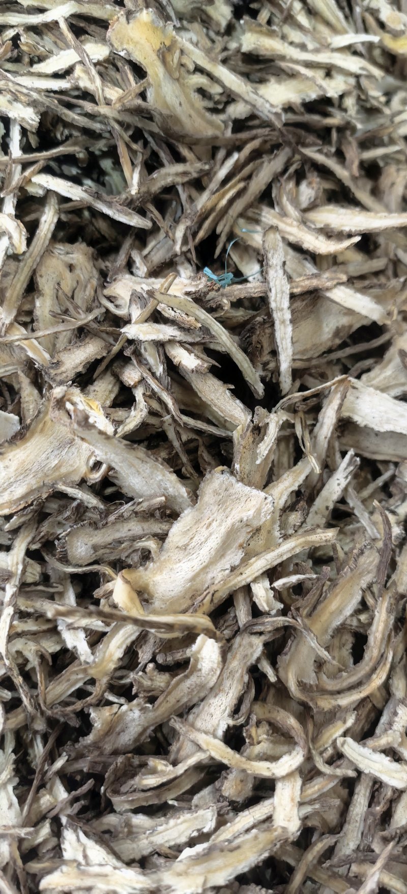 甘肃当归全归片现有货可以现场考察满意再装承接批发加工零售