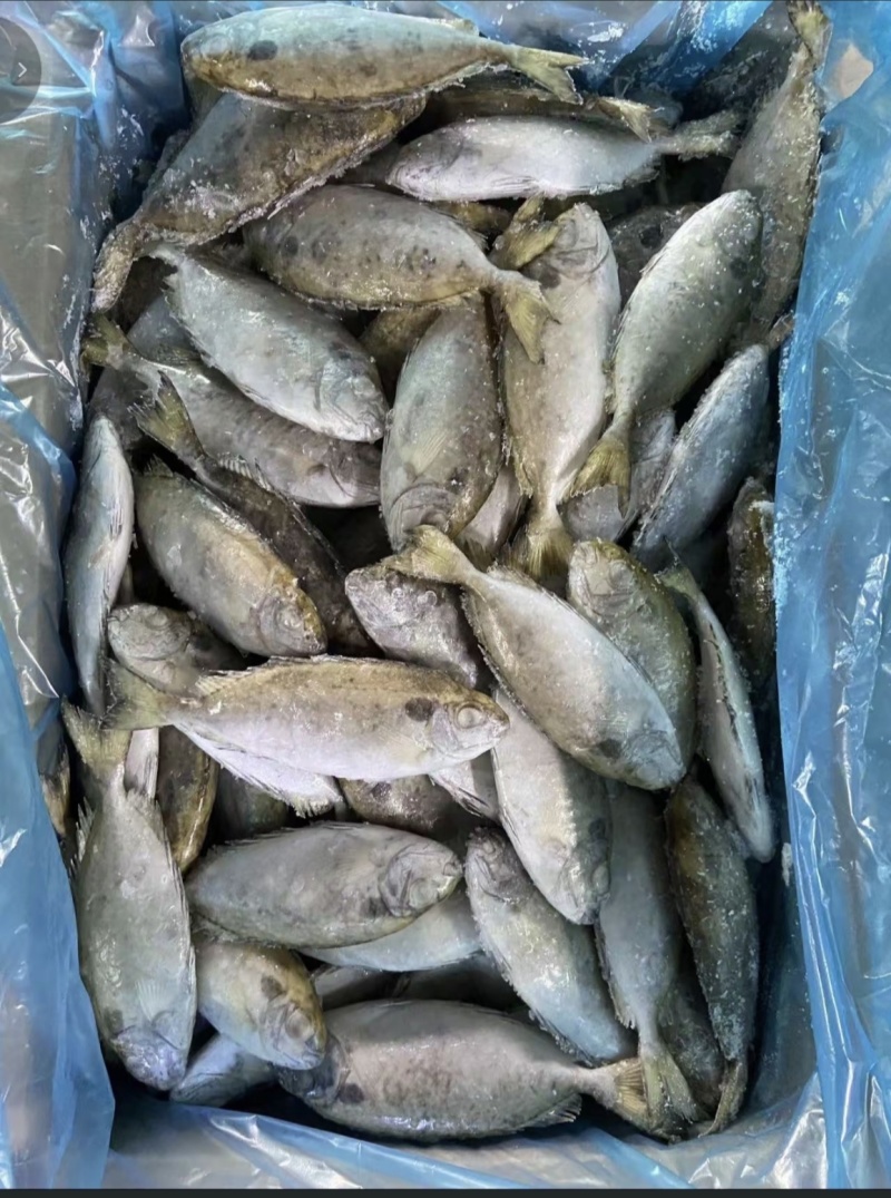 泥猛鱼4到6条一斤，怎么煮的好吃