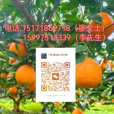 所有店内商品一件代发（坏果包赔）
