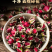 玫瑰花茶中药重瓣红玫瑰山东玫瑰花茶批发中药材原料批发