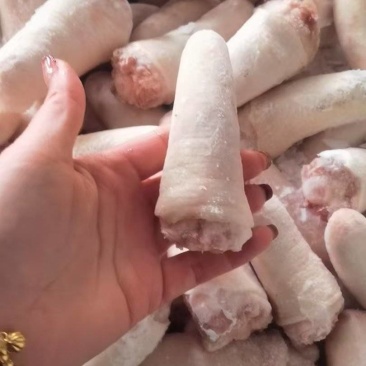 出售一级母猪短尾