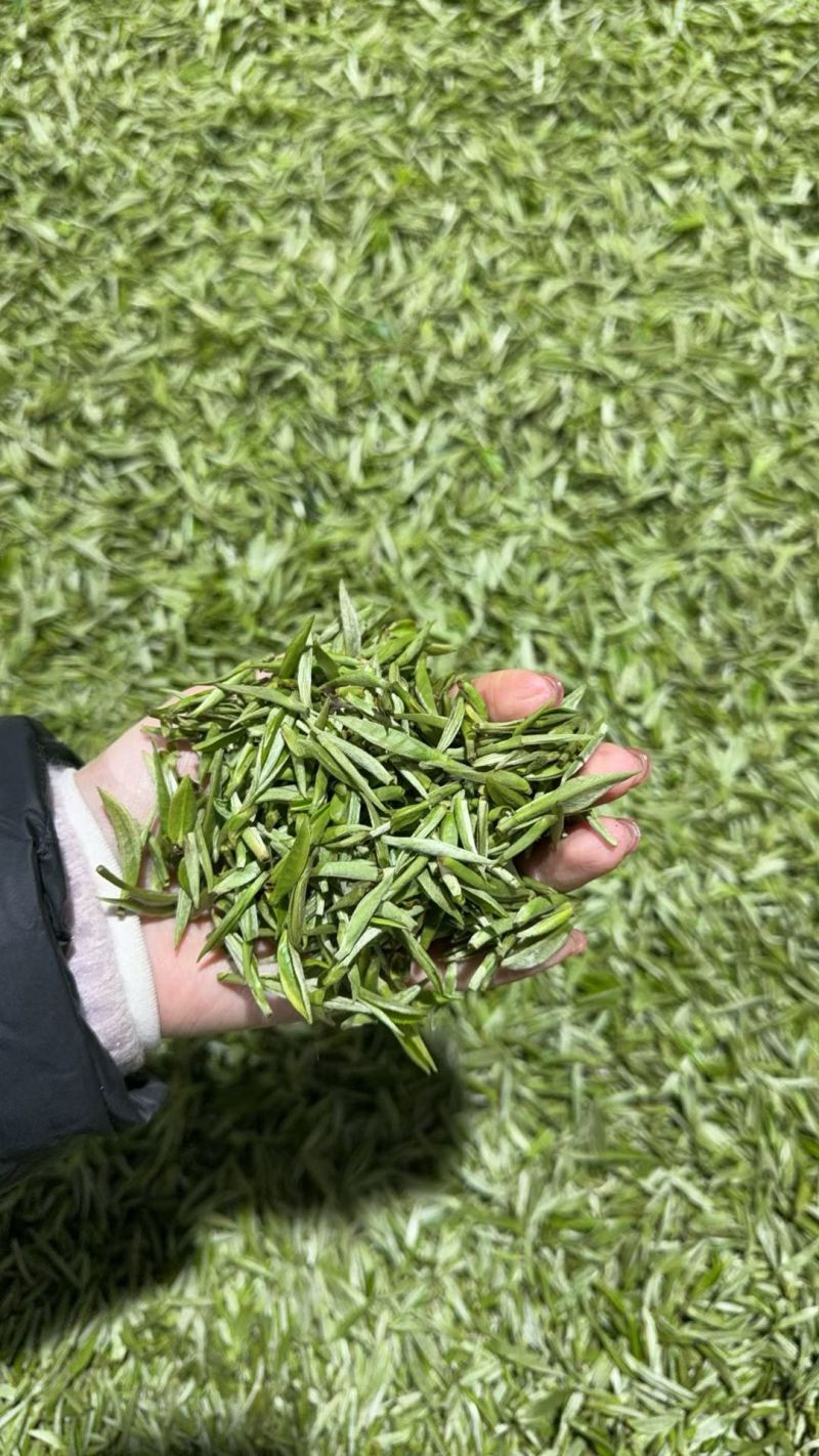 2026头采恩施富硒茶贡芽明前特级芽清香回甘