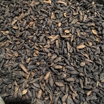 炒香附片今年新货实图拍摄当天下单当天发货