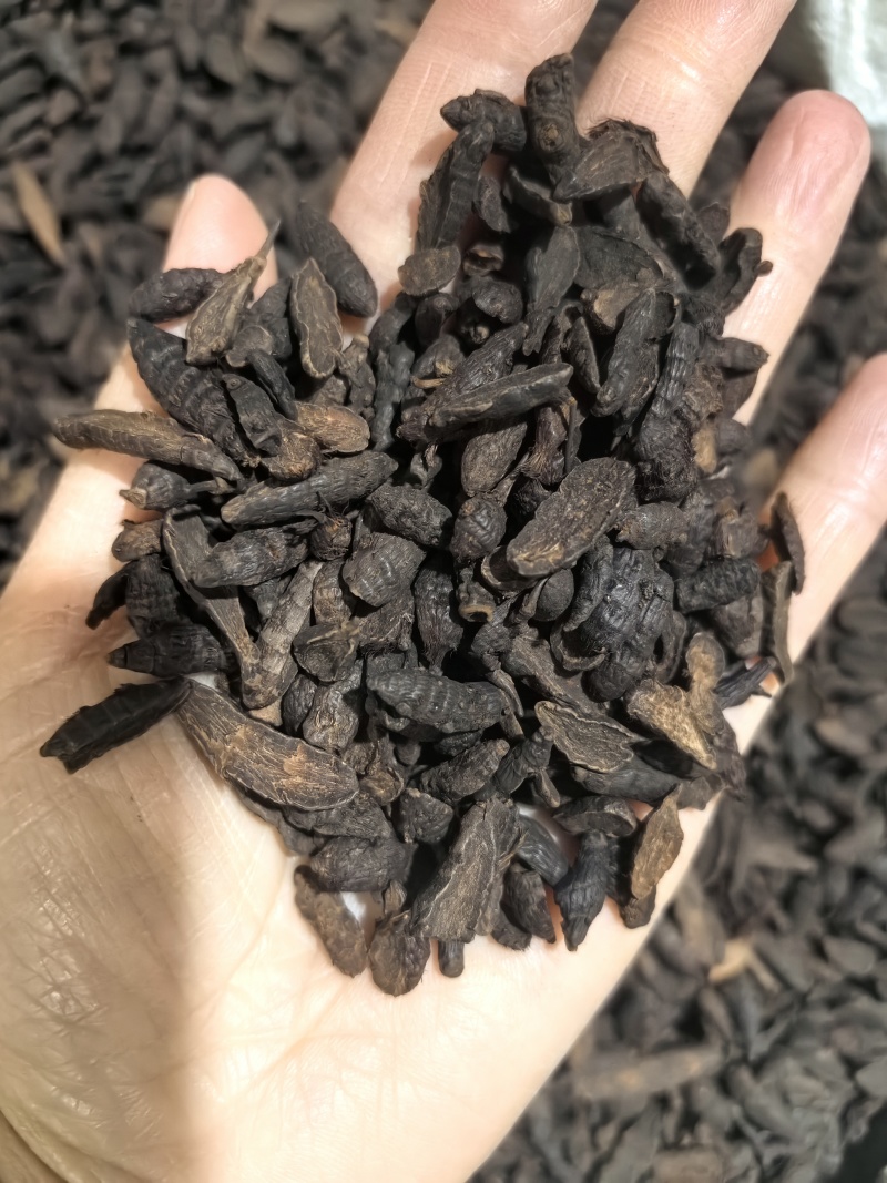 炒香附片今年新货实图拍摄当天下单当天发货