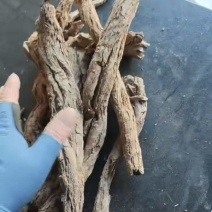 地骨皮大条超大条地骨皮