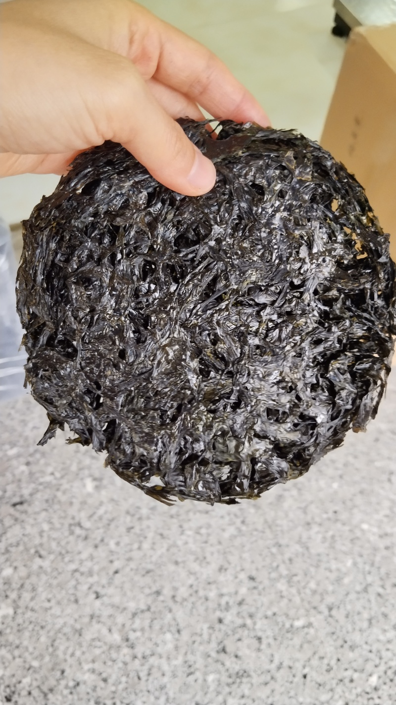 Aa特级龙海头水小碗圆饼高品质紫菜批发，高端珍品量大从优