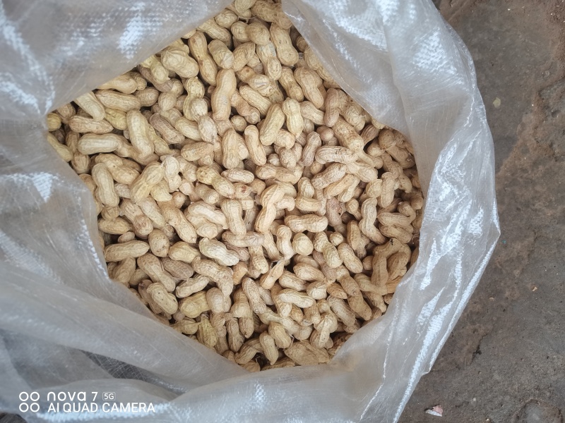 花育9616精选花生果商品果，炒货果，水煮果