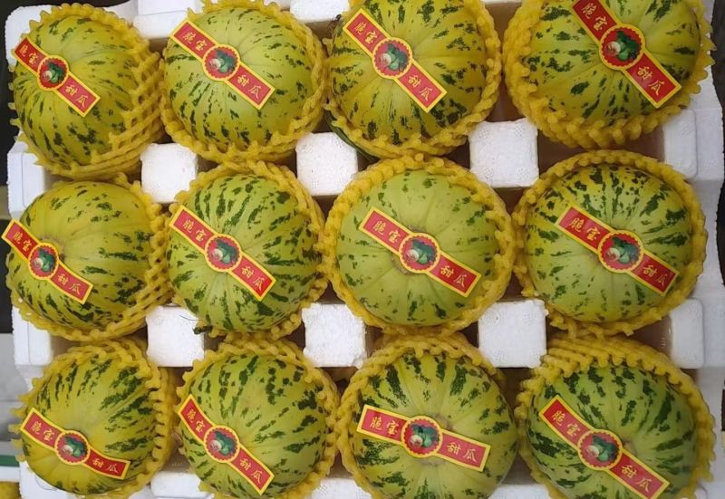 花蕾甜瓜，头茬精品，香脆甜，地头直采，货真价实，诚信经营