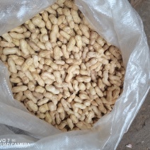 花育9616精选花生果商品果，炒货果，水煮果