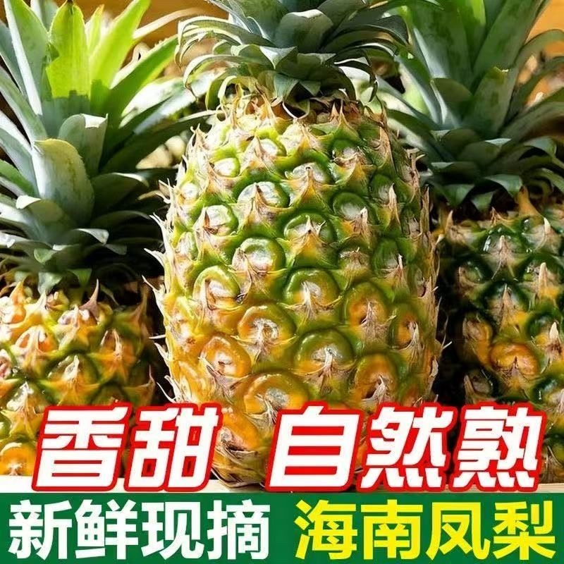 凤梨金钻凤梨海南产地电商团购一件代发