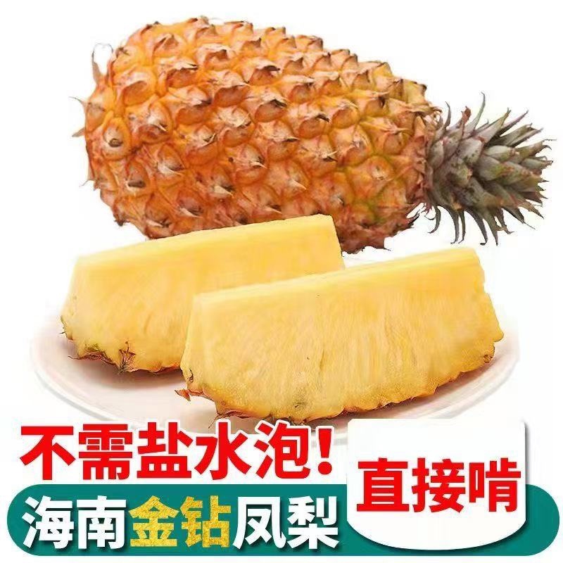 凤梨金钻凤梨海南产地电商团购一件代发