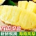 凤梨金钻凤梨海南产地电商团购一件代发