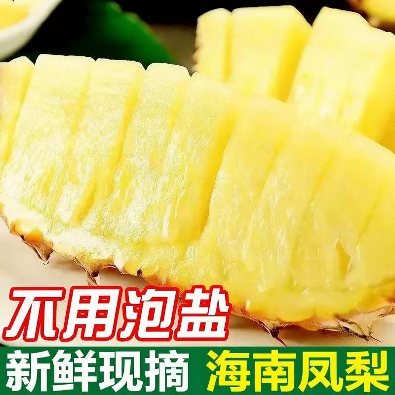 凤梨金钻凤梨海南产地电商团购一件代发