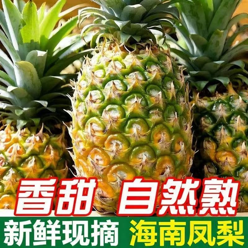 凤梨金钻凤梨海南产地电商团购一件代发