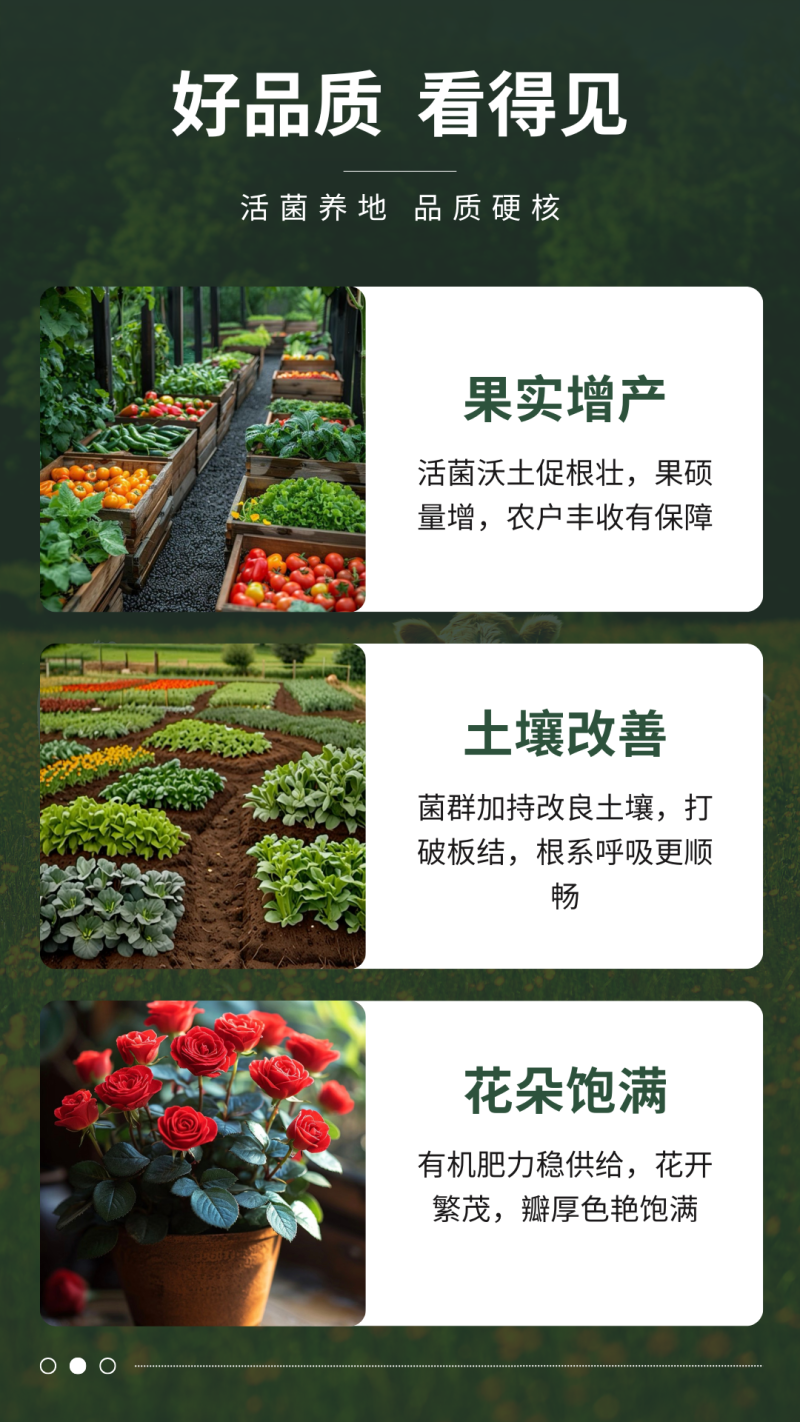 江西正立源生物有机肥发酵腐熟彻底营养全面