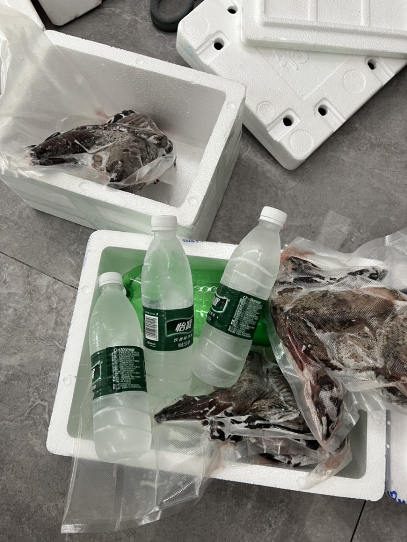 五黑鸡中的“黑珍珠”南城散养现杀现发煲汤**