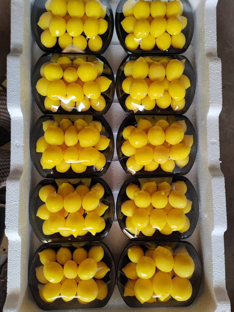 金西梅