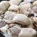 生蚝肉250g一盒