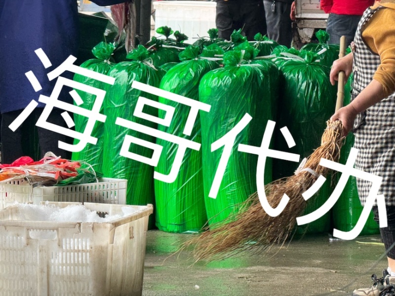 彭州蒜苔2026.3.8
