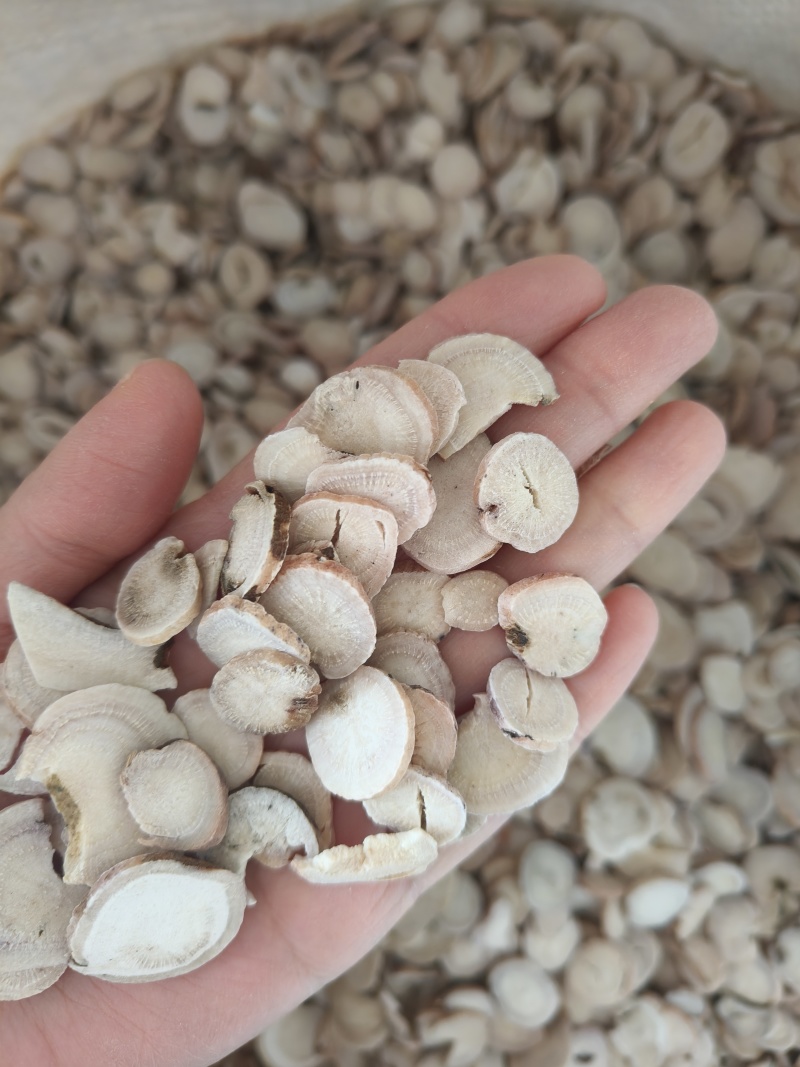 过筛白芍选装祥泰药材栈中药材批发零售实物拍摄量多从优欢