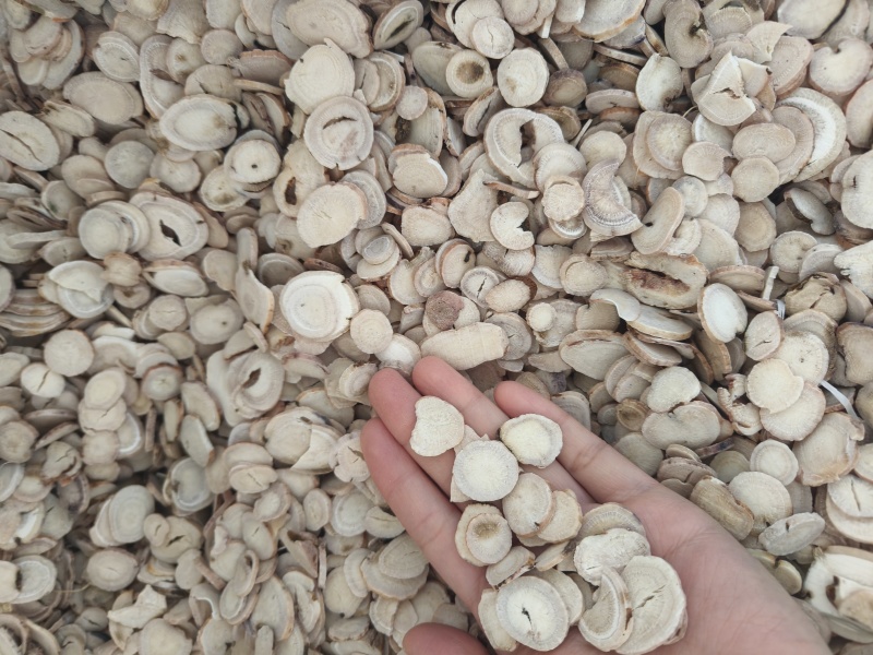 过筛白芍选装祥泰药材栈中药材批发零售实物拍摄量多从优欢