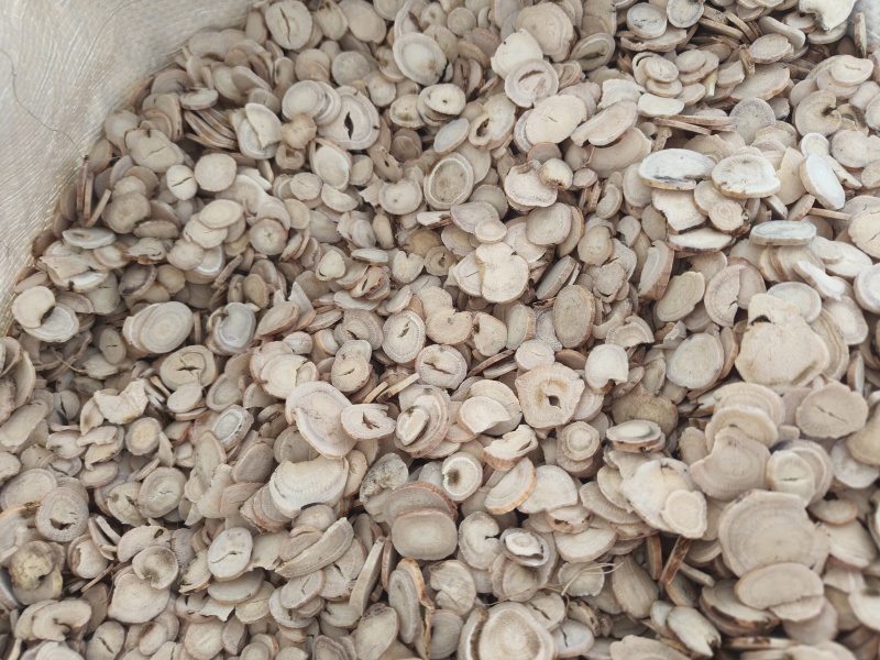 过筛白芍选装祥泰药材栈中药材批发零售实物拍摄量多从优欢