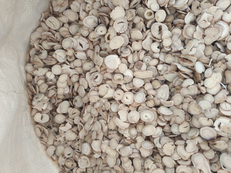 过筛白芍选装祥泰药材栈中药材批发零售实物拍摄量多从优欢