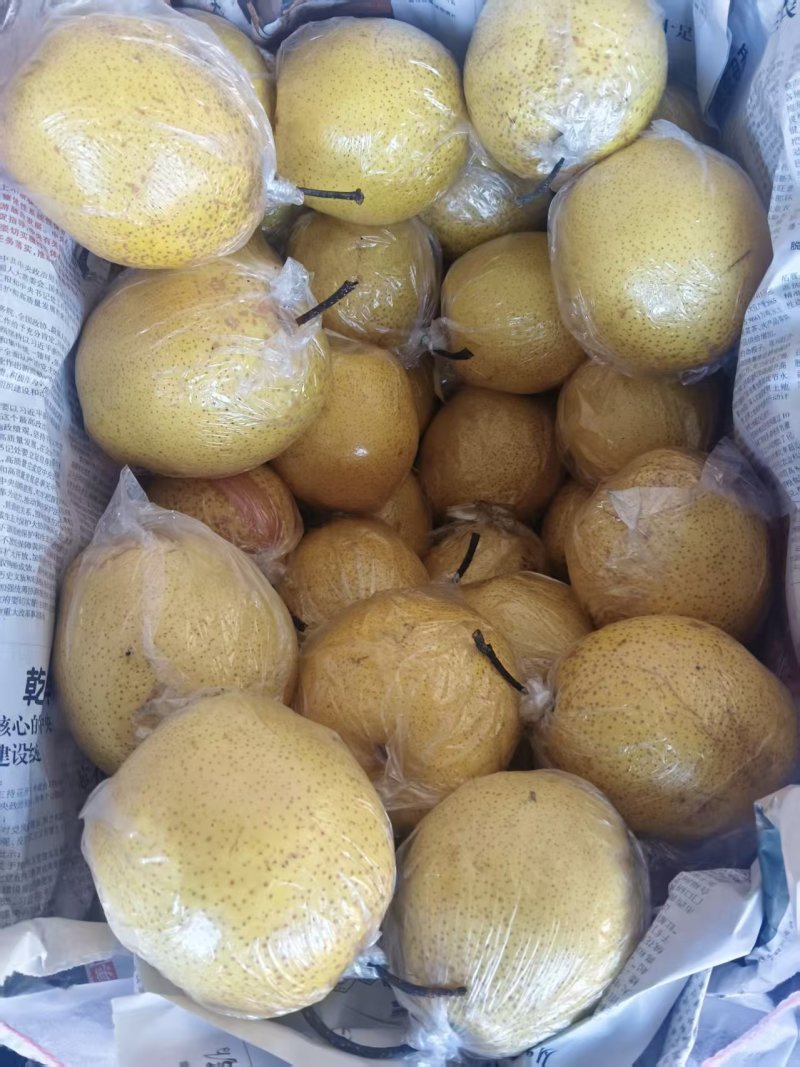 精品雪花梨，需要的联系我