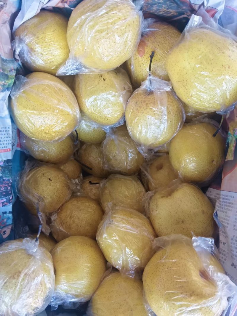 精品雪花梨，需要的联系我