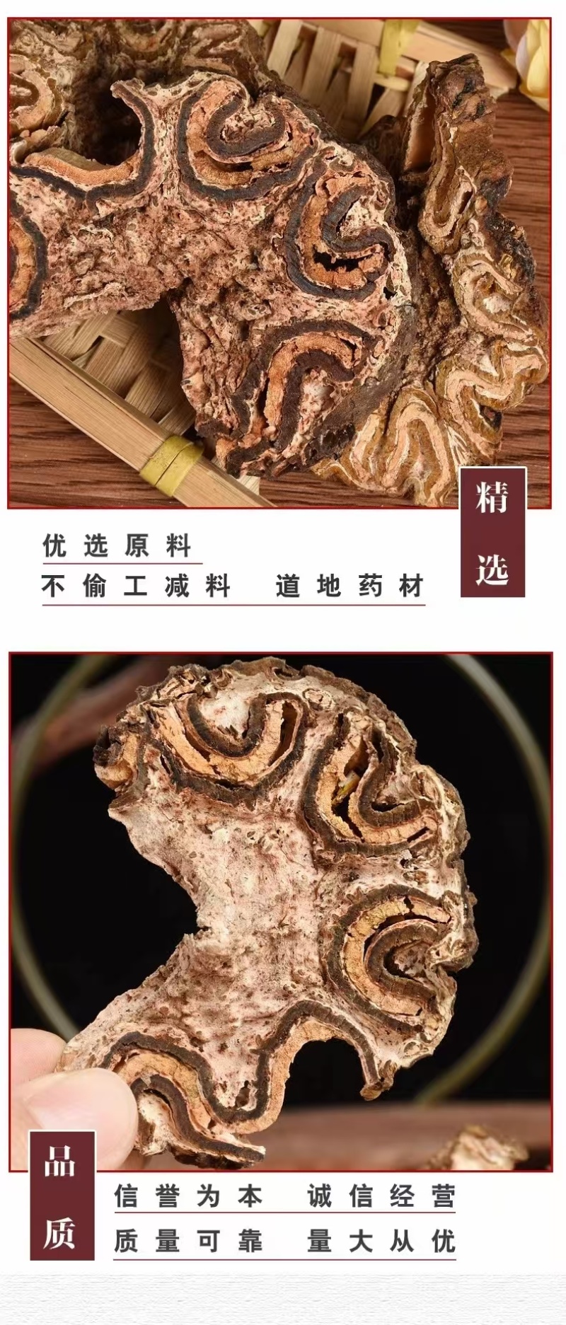 包邮）广西龙骨风500g泡酒料煲汤料中药材