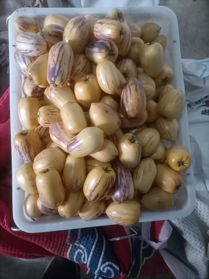 宁夏人参果源头产地。量大质优，物美价廉，有需求的老板联系