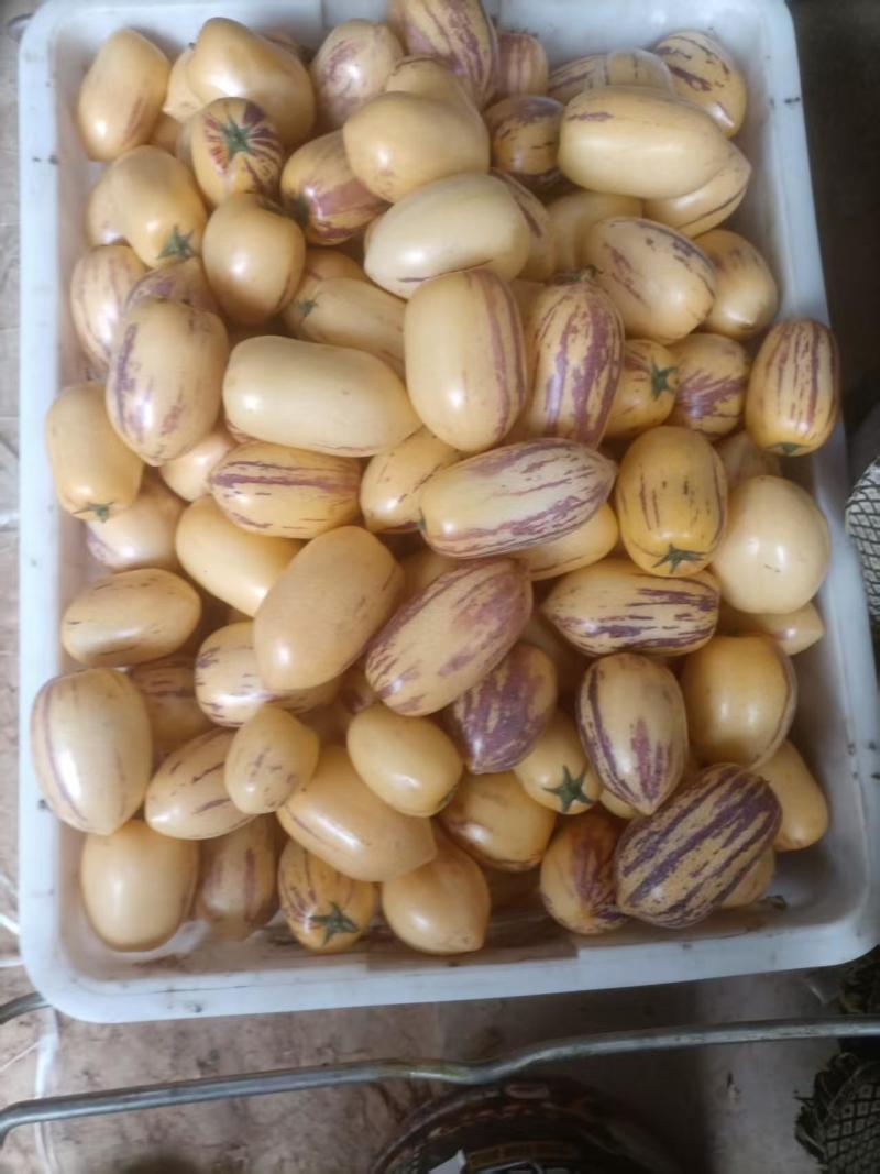 宁夏人参果源头产地。量大质优，物美价廉，有需求的老板联系