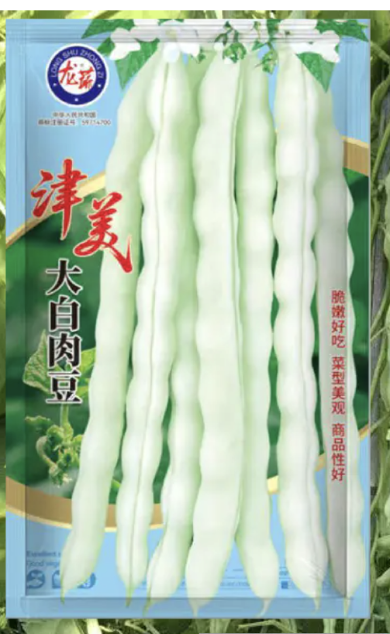 大白肉豆种子早熟荚条圆形略扁嫩荚浅绿白色商品性好