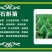 药食同源，石斛嫩苗菜