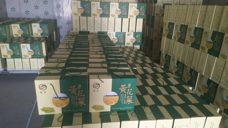 宁夏，红寺堡黄花菜