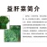 药食同源，益肝菜