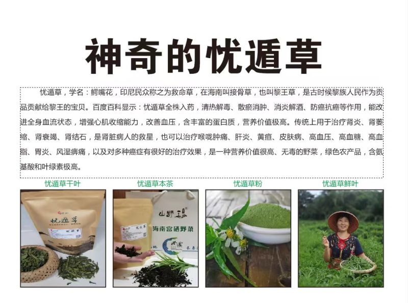 神奇的忧遁草