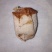 正宗陕西富平柿饼农家自制霜降特级流心吊饼现货24小时内发