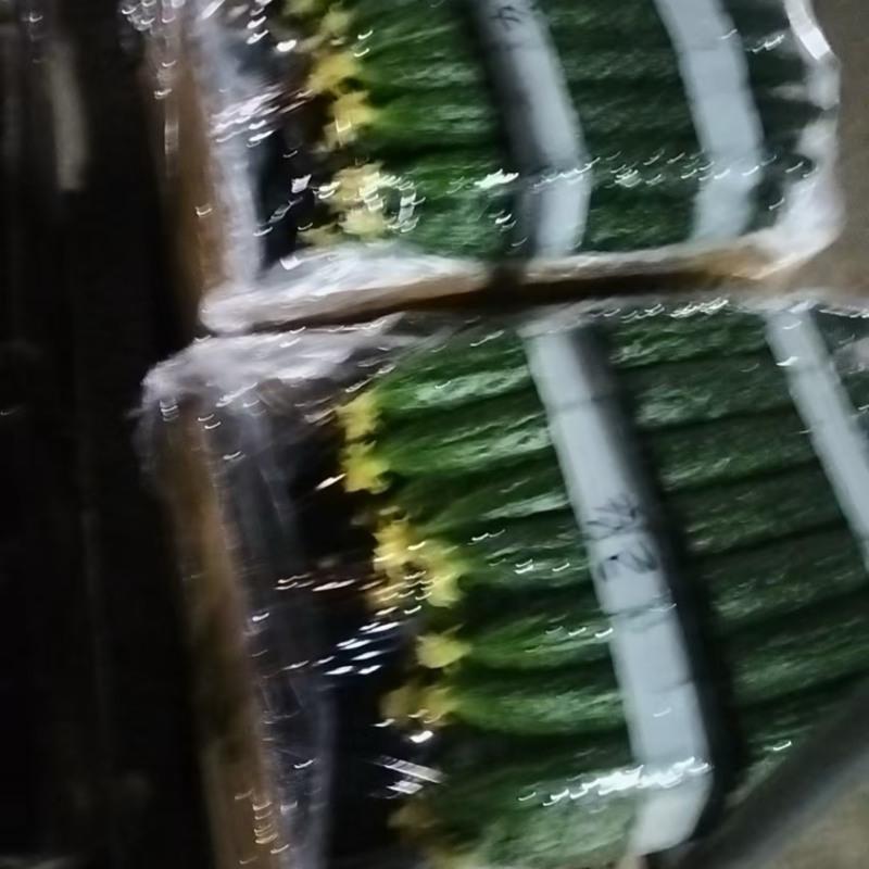 精品黄瓜