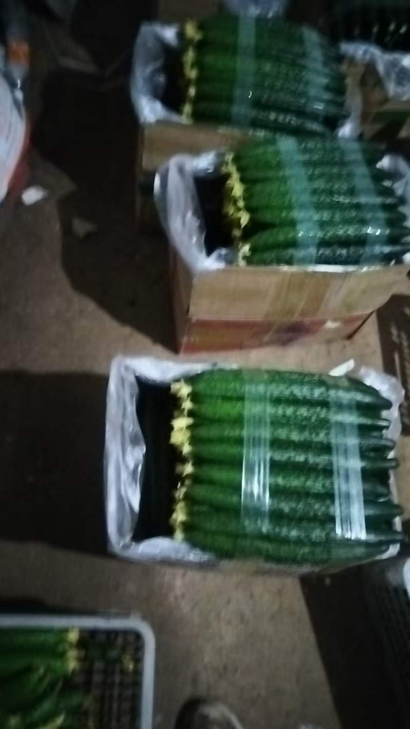 精品黄瓜